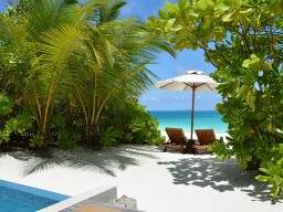 Direct beach access - All bungalows have a direct access to the beach with private sun loungers and offer you the ideal privacy.