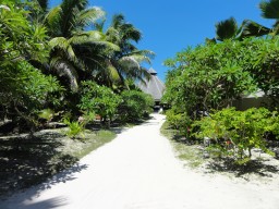 Island paradise with unique nature - The island has a beautiful vegetation and the resort is well maintained daily by very friendly island staff.