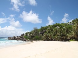 Anse Intendance - Enjoy the perfect sandy beach of Anse Intendance
