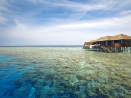 Top house reef - The reef around the island offers the best diving and snorkelling opportunities with perfect conditions.